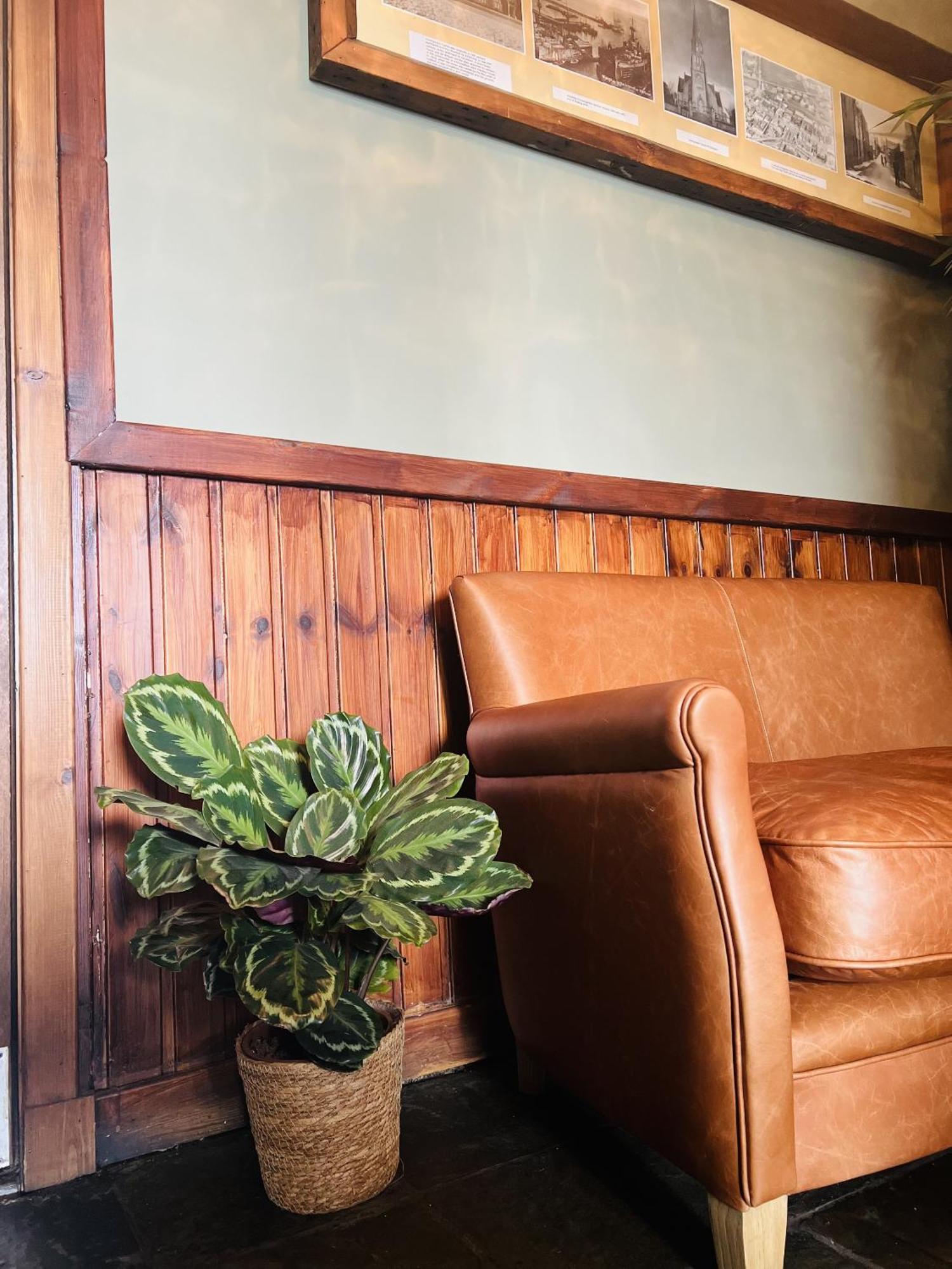 Tuckers Inn 인버고든 외부 사진